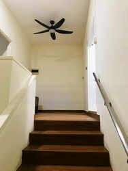 People's Garden (D19), Terrace #469608811